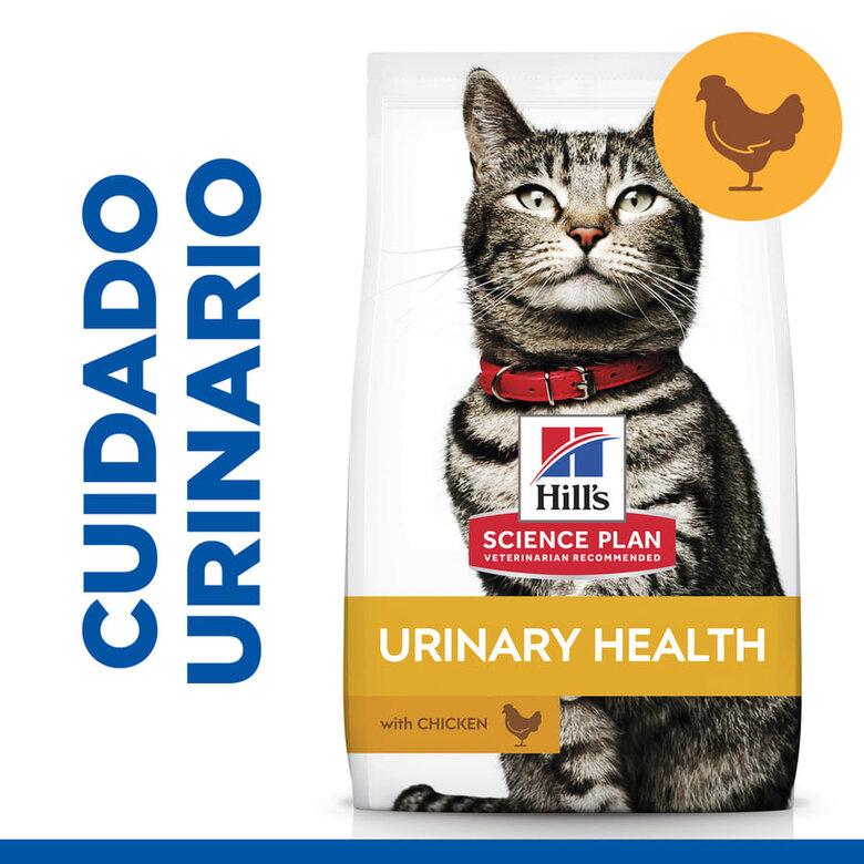 Hill's Urinary Frango ração para gatos , , large image number null